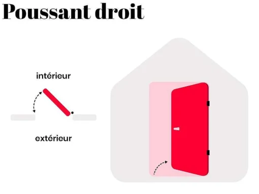 Deur Van Geglazuurd Staal En Inox H.207 X B.100 Cm Antraciet - Links Duwen - Trofa