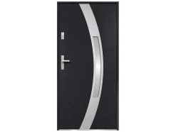 Deur Van Geglazuurd Staal En Inox H.207 X B.100 Cm Antraciet - Links Duwen - Trofa