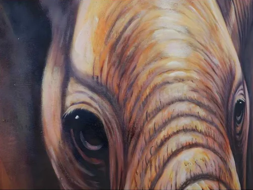 Olieverfschilderij Close-Up Olifant Handgeschilderd