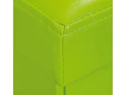 Sanne Opbergdozen Voetenbank Met Deksel, Groen.