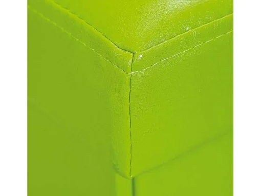 Sanne Opbergdozen Voetenbank Met Deksel, Groen.