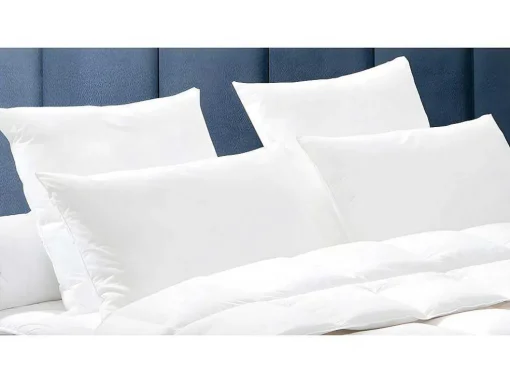 Set Dodo Dekbed Natuurlijk 240 X 260 Cm + 2 Hoofdkussens Dons Baffin 65 X 65 Cm