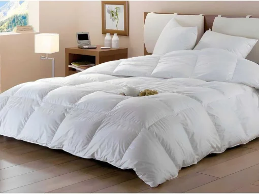 Set Dodo Dekbed Natuurlijk 240 X 260 Cm + 2 Hoofdkussens Dons Baffin 65 X 65 Cm