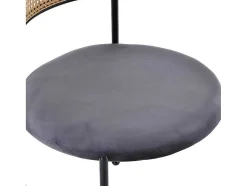 Set Van 2 Fluwelen En Rotan Stoelen - Metalen Poten - Grijs