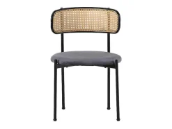 Set Van 2 Fluwelen En Rotan Stoelen - Metalen Poten - Grijs