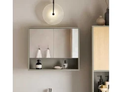 Sobuy Badkamerwandkast Met Spiegel, Wandgemonteerd Wastafelmeubel, Opbergkast Met 2 Deuren, Open Vak En Verstelbare Planken, 60 X 20 X 49,5 Cm, Grijs, Bzr134-Ng